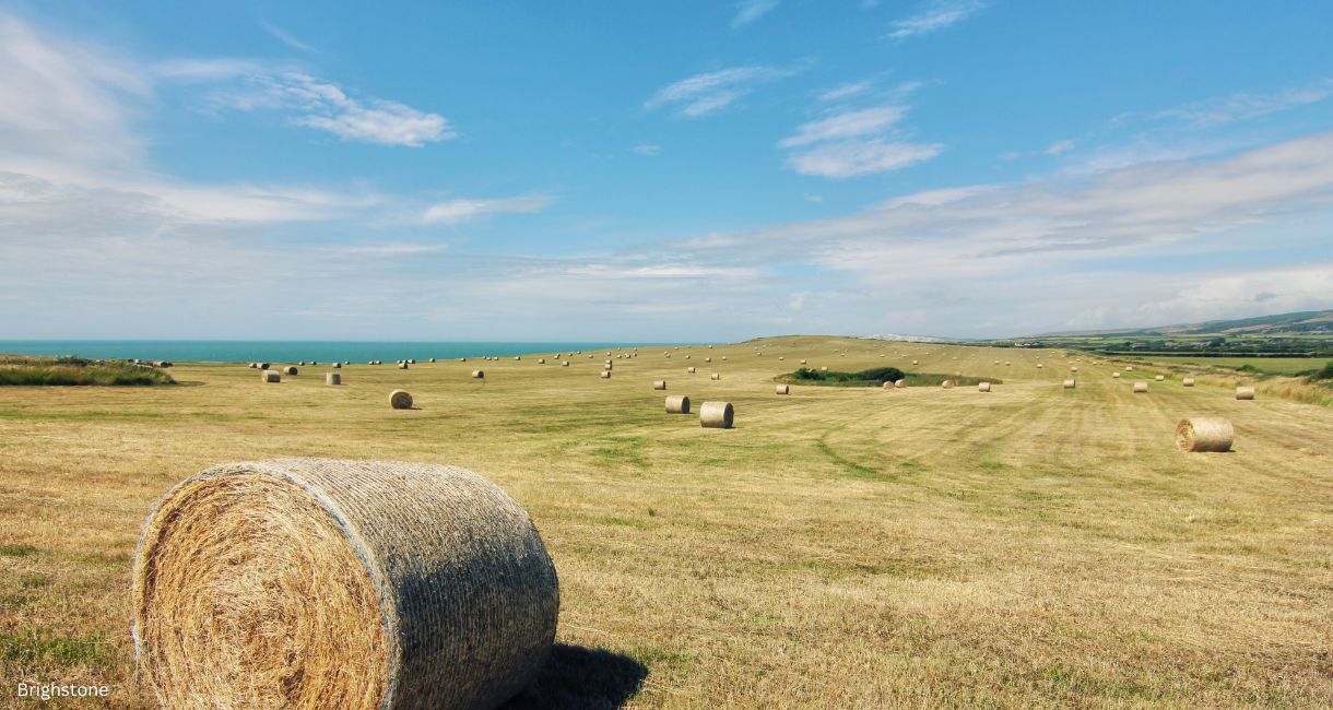 Brighstone, Isle of Wight